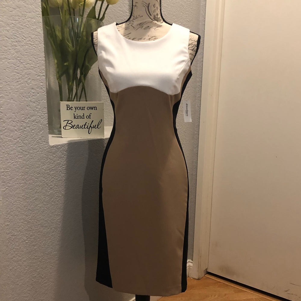 NWT- ROZ & ALI Dress
